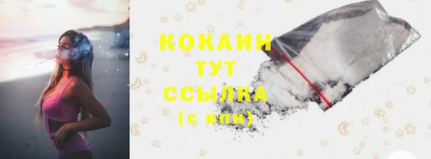 дживик Баксан
