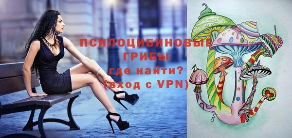 твердый Балахна