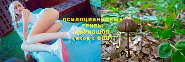 дживик Баксан