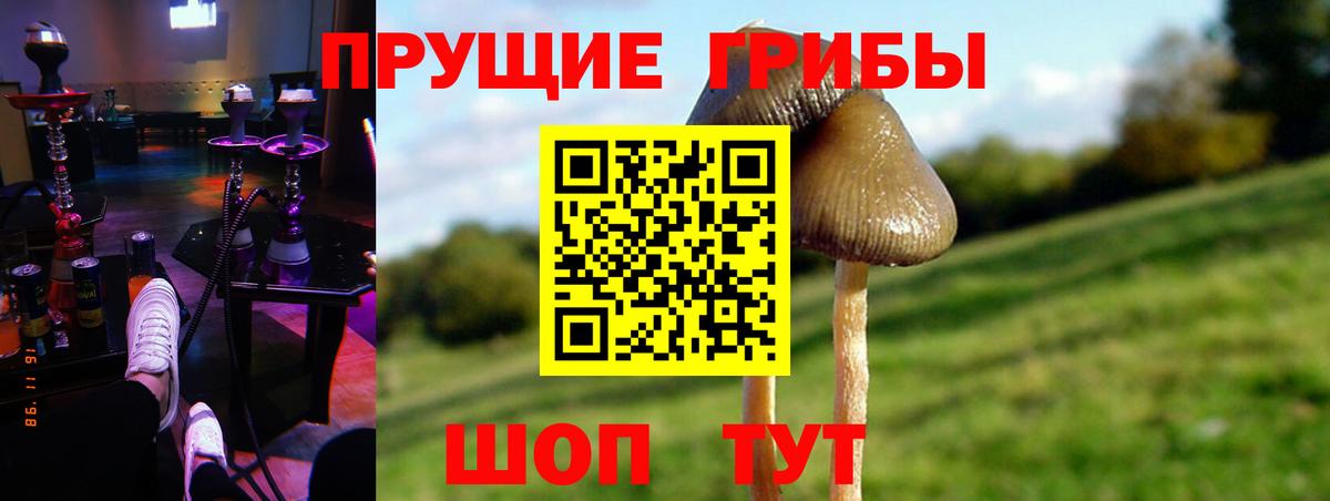 Галлюциногенные грибы ЛСД Барабинск