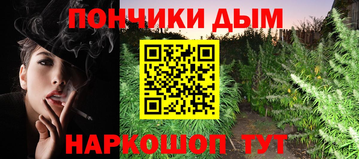 Бошки марихуана марихуана  Вход с VPN  Барабинск  Каннабис планчик 